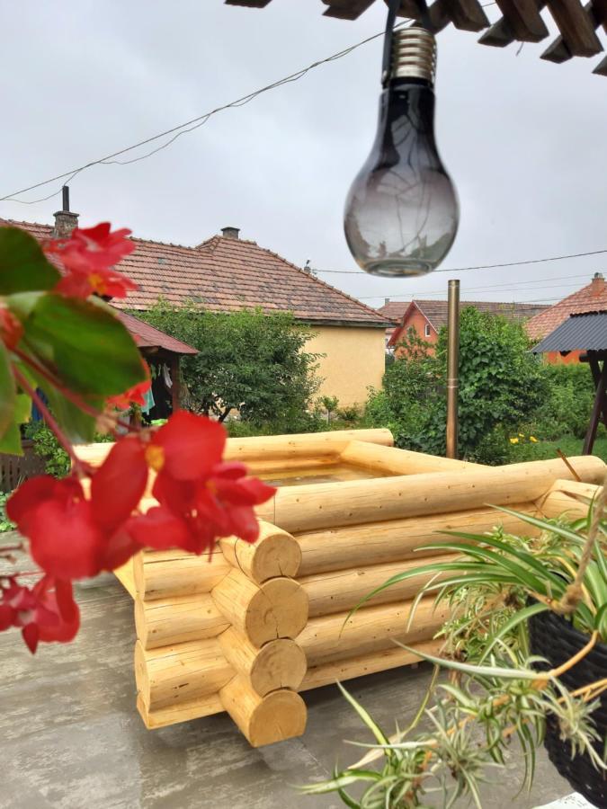 Becze Vanda kulcsosház Lăzarea Zewnętrze zdjęcie
